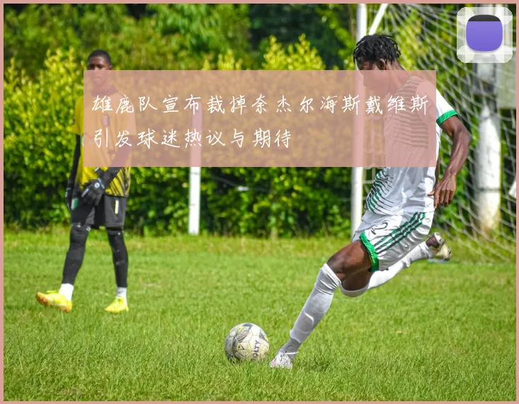 雄鹿队宣布裁掉奈杰尔海斯戴维斯引发球迷热议与期待