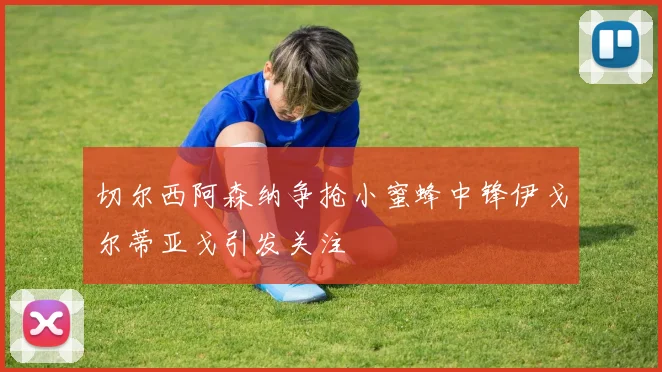 切尔西阿森纳争抢小蜜蜂中锋伊戈尔蒂亚戈引发关注