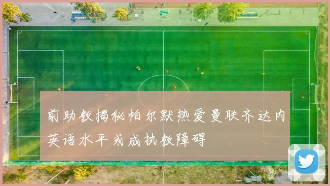 前助教揭秘帕尔默热爱曼联齐达内英语水平或成执教障碍