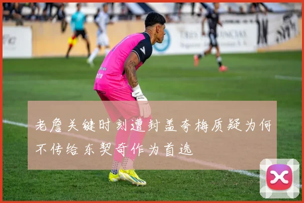 老詹关键时刻遭封盖夸梅质疑为何不传给东契奇作为首选