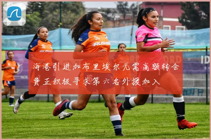 海港引进加布里埃尔无需高额转会费正积极寻求第六名外援加入